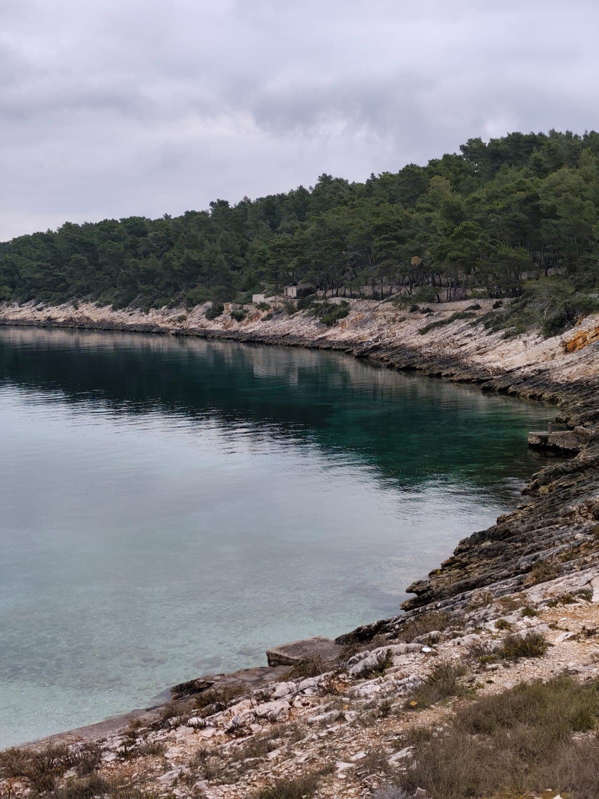 Calm sea view with rocky shoreline
