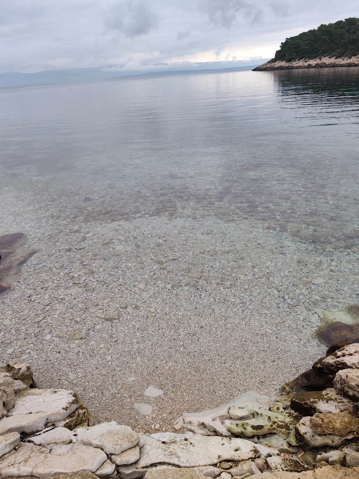 Clear water and rocky shore