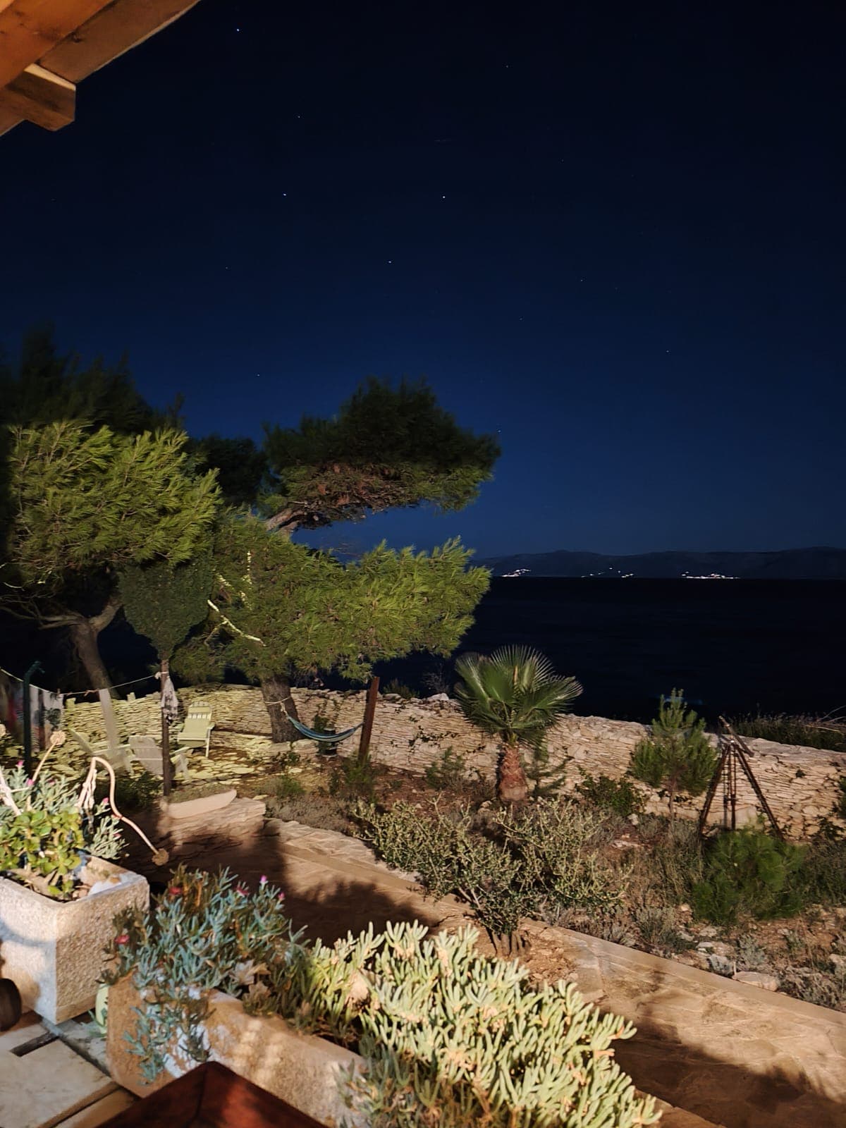 Garden with sea in the background at night